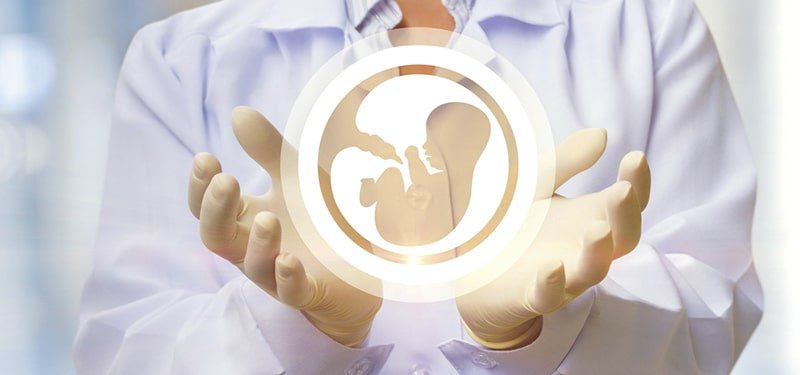Egg Donor and Surrogacy